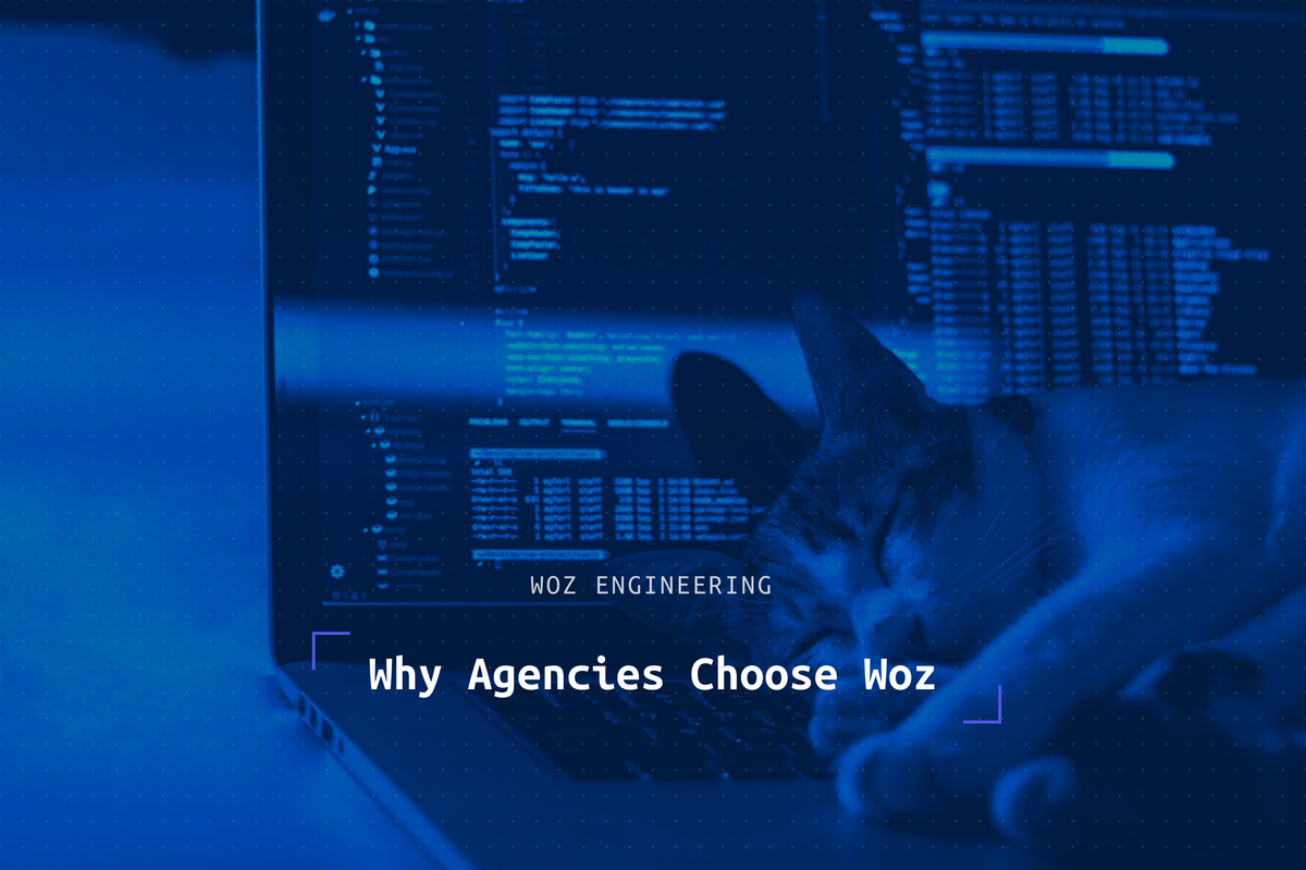 Why Agencies Choose Woz